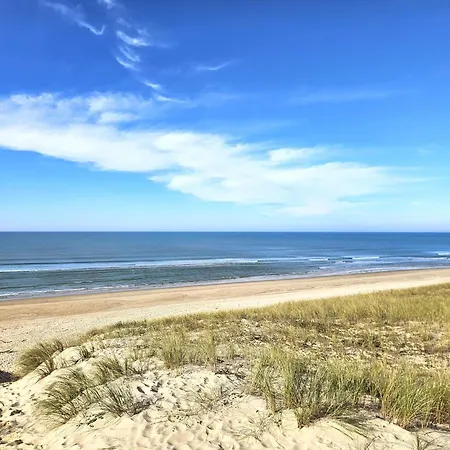 Rénovée Avec Jardin, Terrasse, Clim Et Wifi à Lège-cap-ferret - Fr-1-736-43 * Lège-Cap-Ferret